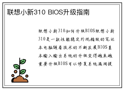 联想小新310 BIOS升级指南